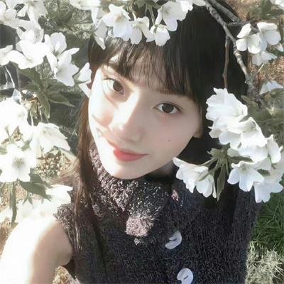 法女情波封面